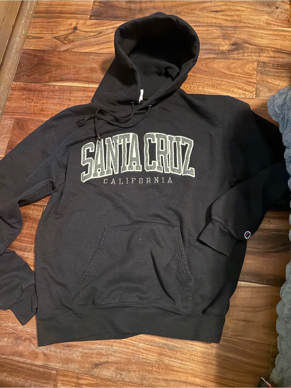 Champion Santa Cruz California Hoodie Black Pullover Sweatshirt Size Medium